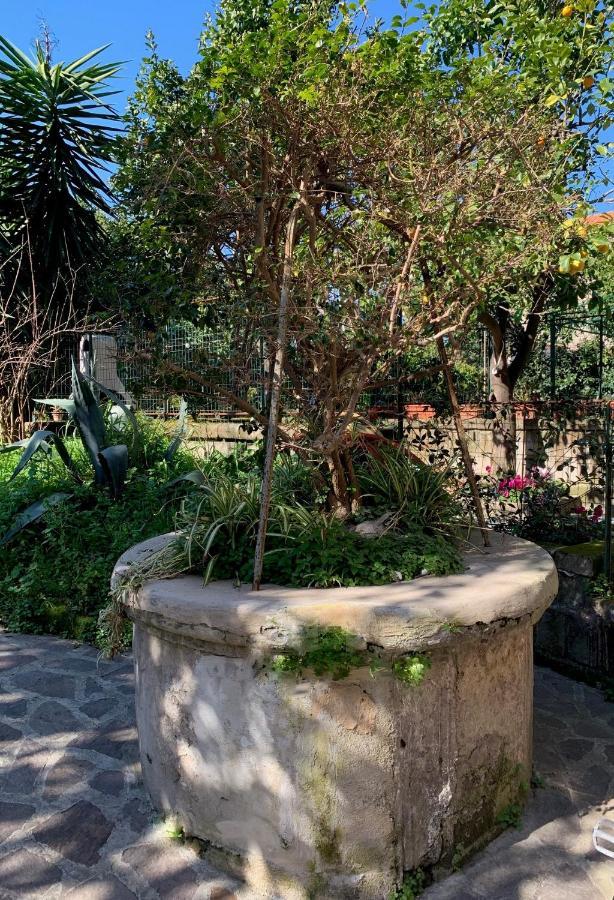 Itaca B&B Piano di Sorrento Bagian luar foto