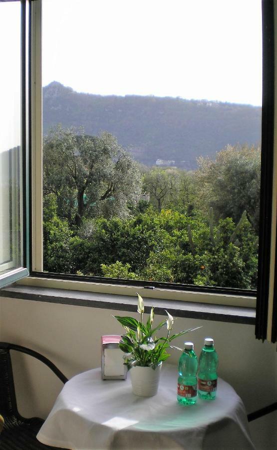 Itaca B&B Piano di Sorrento Bagian luar foto