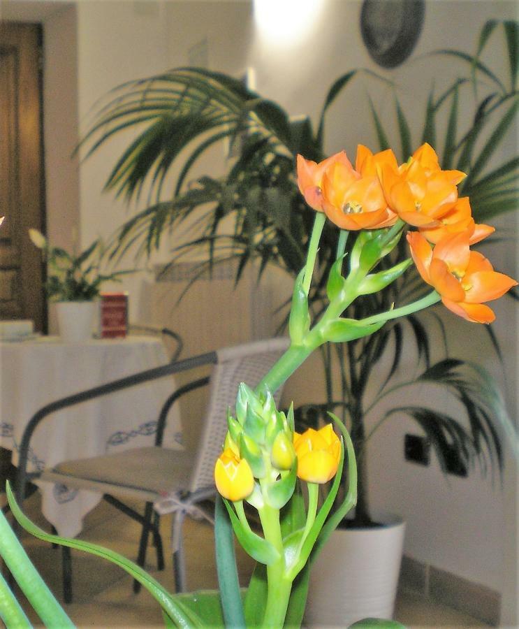 Itaca B&B Piano di Sorrento Bagian luar foto