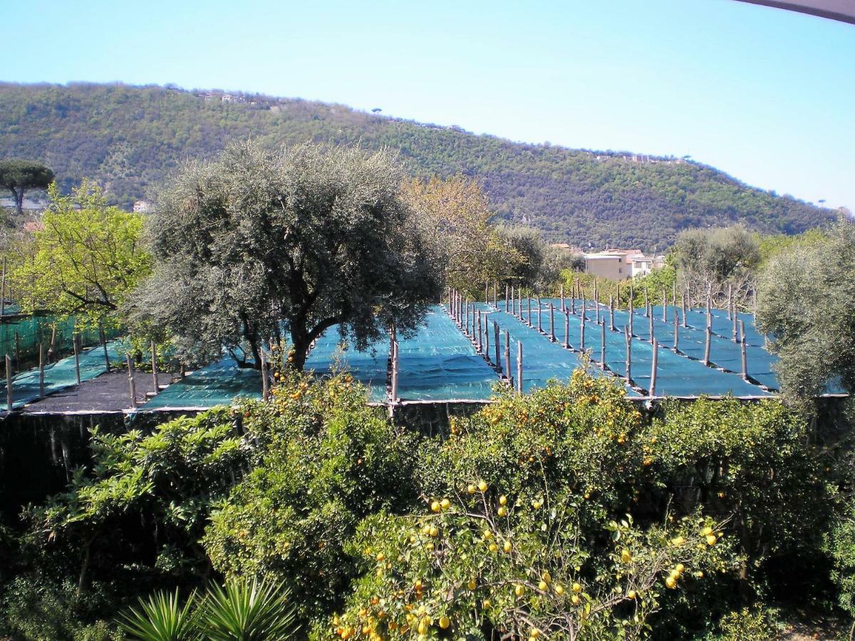Itaca B&B Piano di Sorrento Bagian luar foto