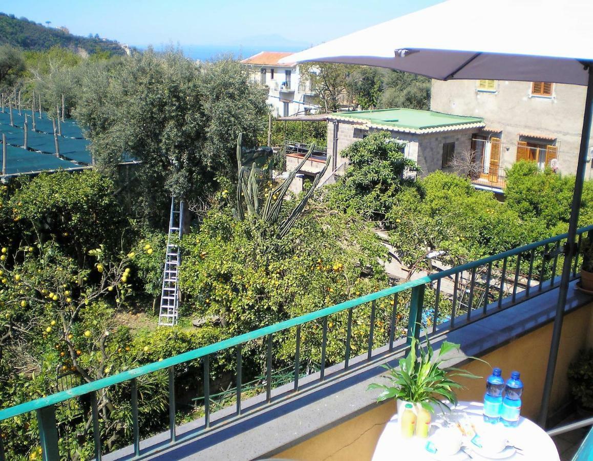 Itaca B&B Piano di Sorrento Bagian luar foto